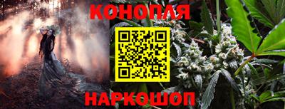 мдма Кингисепп