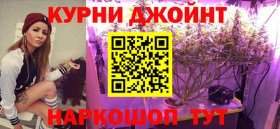 мдма Кингисепп