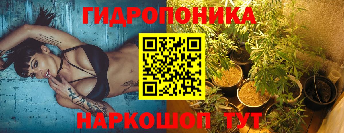 Бошки Шишки семена Кириши